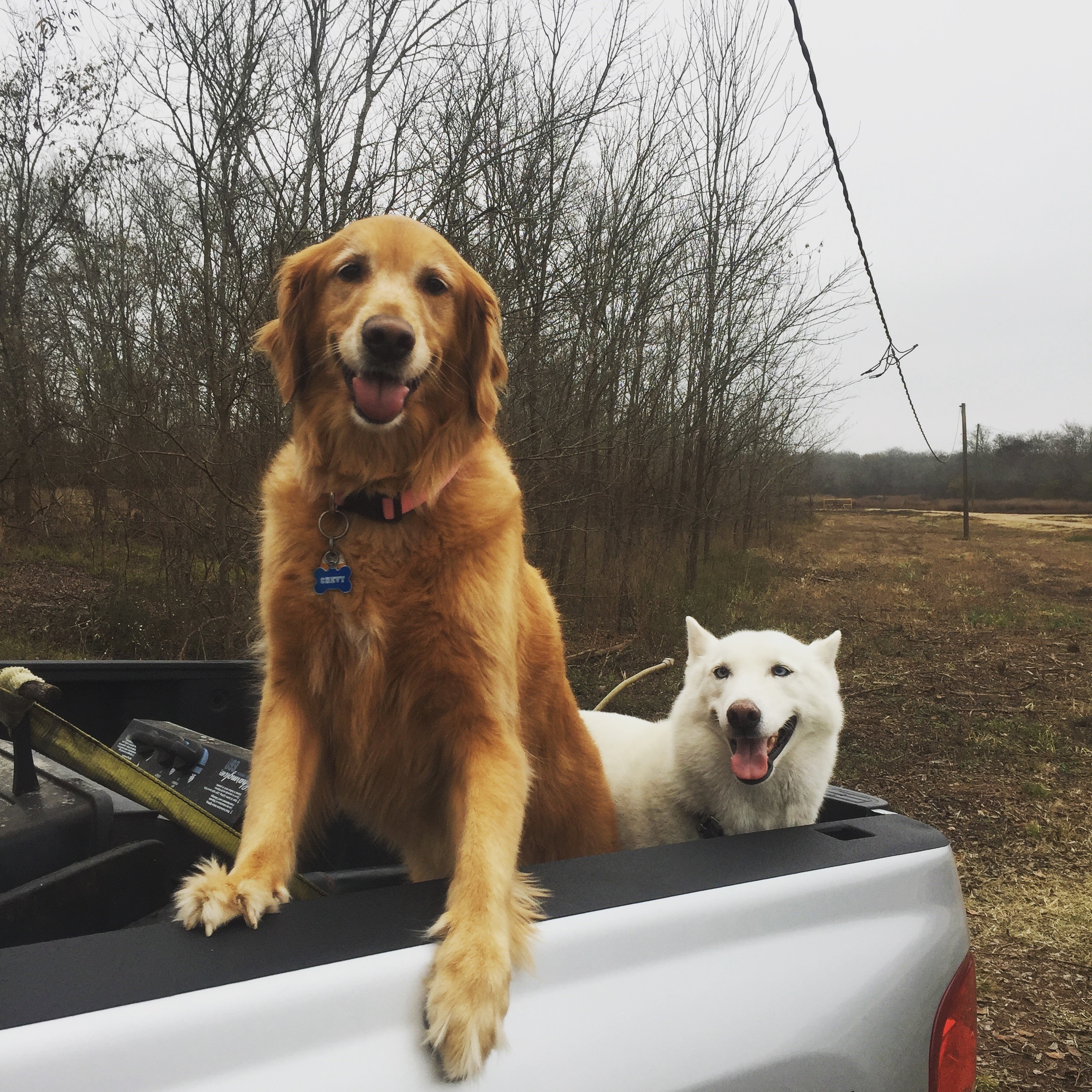 chevy and chaco