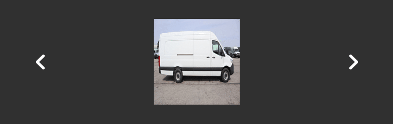 profile photo rookie mistake 1, squished van