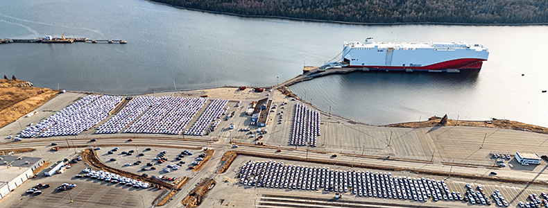 container shipping example of roro shipping